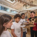 Visita guidata per i bambini al MUSE